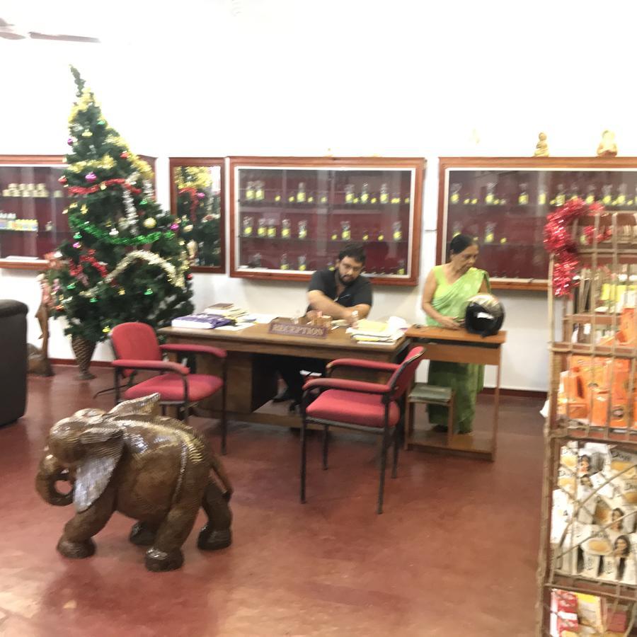 Srilanka Ayurveda Hotel ヒッカドゥワ エクステリア 写真
